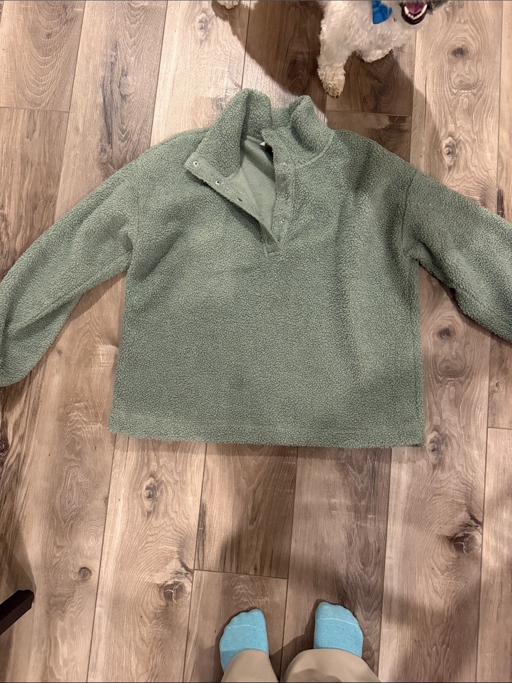 LOFT Sage Green Sherpa Pullover